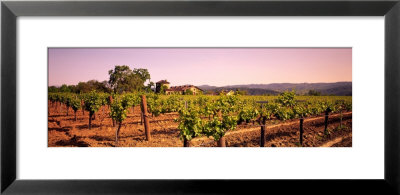 Sattui Winery, Napa Valley, California, Usa by Panoramic Images Pricing Limited Edition Print image