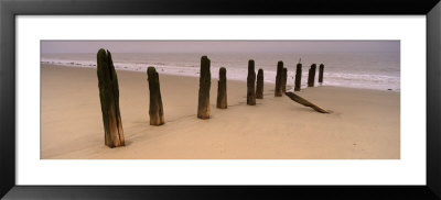 Logs On The Beach, Spurn, Yorkshire, England, United Kingdom by Panoramic Images Pricing Limited Edition Print image