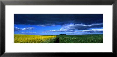 Clouds Over A Cultivated Field, Hunmanby, Yorkshire Wolds, England, United Kingdom by Panoramic Images Pricing Limited Edition Print image