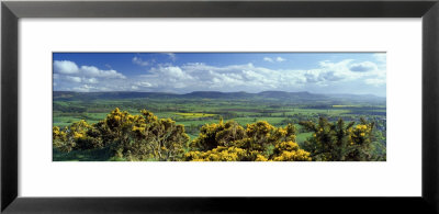 High Angle View Of Trees, North York Moors National Park, North Yorkshire, England, United Kingdom by Panoramic Images Pricing Limited Edition Print image