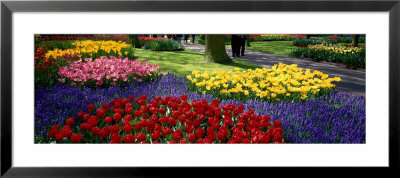 Keukenhof Garden, Lisse, The Netherlands by Panoramic Images Pricing Limited Edition Print image
