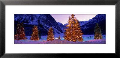 Lighted Christmas Trees, Chateau Lake Louise, Lake Louise, Alberta, Canada by Panoramic Images Pricing Limited Edition Print image