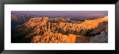 Bryce Canyon National Park, Utah, Usa by Panoramic Images Pricing Limited Edition Print image