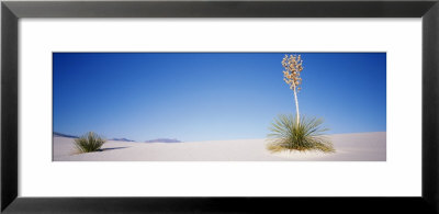 White Sands National Monument, New Mexico, Usa by Panoramic Images Pricing Limited Edition Print image