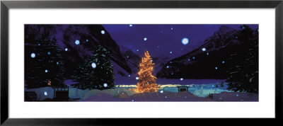 Tree With Lights And Chateau, Lake Louise, Alberta, Canada by Panoramic Images Pricing Limited Edition Print image