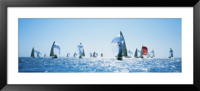 Sailboat Race, Key West Florida, Usa by Panoramic Images Pricing Limited Edition Print image