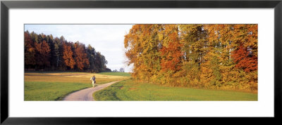 Woman On Horse, Cantone Zug, Switzerland by Panoramic Images Pricing Limited Edition Print image