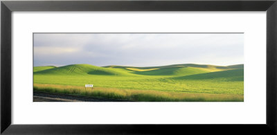 Eden Train Stop, Palouse, Whitman County, Washington State, Usa by Panoramic Images Pricing Limited Edition Print image