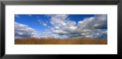 Hayden Prairie, Iowa, Usa by Panoramic Images Pricing Limited Edition Print image