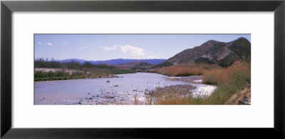 Rio Grande At Sulpher Springs Monahans Sandhills State Park, Texas, Usa by Panoramic Images Pricing Limited Edition Print image