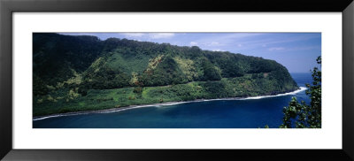 Forest On An Island, Hana, Maui, Hawaii, Usa by Panoramic Images Pricing Limited Edition Print image