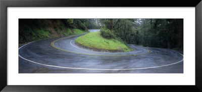 Road, Marin Country, California, Usa by Panoramic Images Pricing Limited Edition Print image