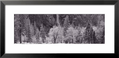 Yosemite Park, California, Usa by Panoramic Images Pricing Limited Edition Print image