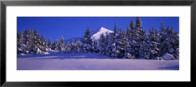 Turnagain Pass, Chugach Mountains, Kenai Peninsula, Ak by Panoramic Images Pricing Limited Edition Print image