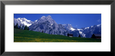 Field Of Wildflowers With Majestic Mountain Backdrop, Karwendel Mountains, Austria by Panoramic Images Pricing Limited Edition Print image