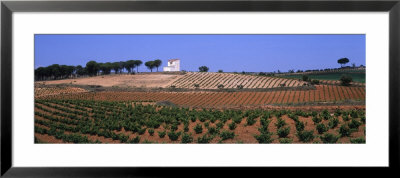 La Mancha, Crops, Farm, Spain by Panoramic Images Pricing Limited Edition Print image