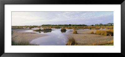 Black Point Wildlife, Merritt Island National Wildlife Refuge, Titusville, Florida, Usa by Panoramic Images Pricing Limited Edition Print image