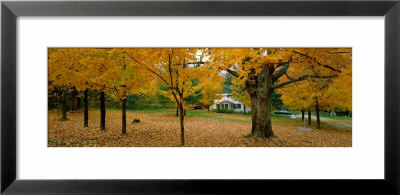 Autumn, Muskoka, Canada by Panoramic Images Pricing Limited Edition Print image