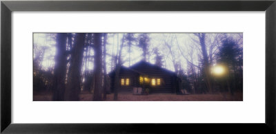 White Pines State Park, Illinois, Usa by Panoramic Images Pricing Limited Edition Print image