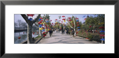 Umbrellas Hanging On Trees, Yangzhou, China by Panoramic Images Pricing Limited Edition Print image