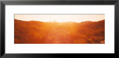 Sunrise, Sonoran Desert Tonto National Forest, Arizona, Usa by Panoramic Images Pricing Limited Edition Print image