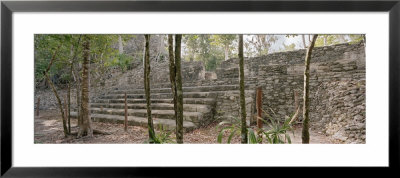 Iglesia Ruin, Coba Archaeological Zone, Quintana Roo, Mexico by Panoramic Images Pricing Limited Edition Print image