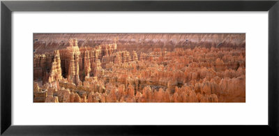 Aerial View Of The Grand Canyon, Bryce Canyon National Park, Utah, Usa by Panoramic Images Pricing Limited Edition Print image