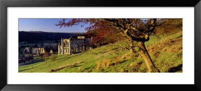 Church On A Landscape, Rievaulx Abbey, North Yorkshire, England, United Kingdom by Panoramic Images Pricing Limited Edition Print image