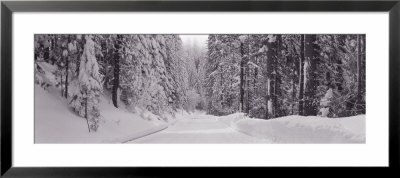 Road, Yosemite Park, California, Usa by Panoramic Images Pricing Limited Edition Print image
