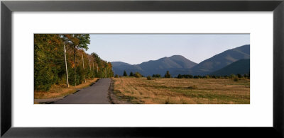 Trees On One Side Of Loj Road, Sawtooth Mountain, Lake Placid, New York State, Usa by Panoramic Images Pricing Limited Edition Print image