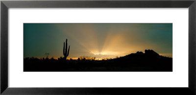 Desert Sun Beams, Near Phoenix, Arizona, Usa by Panoramic Images Pricing Limited Edition Print image