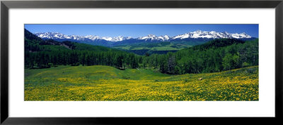 San Miguel Mountains In Spring, Colorado, Usa by Panoramic Images Pricing Limited Edition Print image