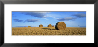 Hay Bales, Scotland, United Kingdom by Panoramic Images Pricing Limited Edition Print image