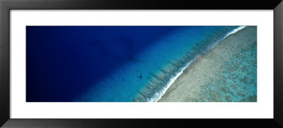 Aerial View Of Beach, Teti'aroa Island, Polynesia by Panoramic Images Pricing Limited Edition Print image