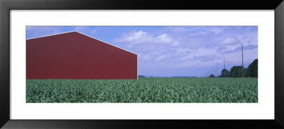 Red Barn, Cornfield, Yamhill County, Oregon, Usa by Panoramic Images Pricing Limited Edition Print image