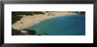 Aerial View Of A Beach, Makapu, Hawaii, Usa by Panoramic Images Pricing Limited Edition Print image