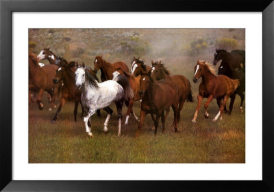 Wild Horses by Ron Kimball Pricing Limited Edition Print image