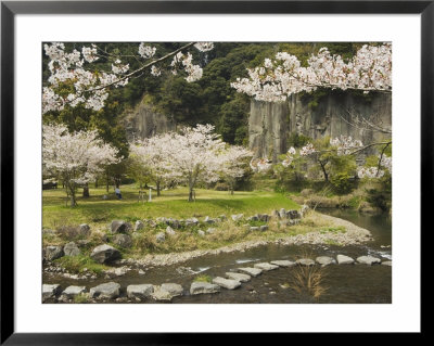 Spring Cherry Blossoms Near River With Stepping Stones, Kagoshima Prefecture, Kyushu, Japan by Christian Kober Pricing Limited Edition Print image