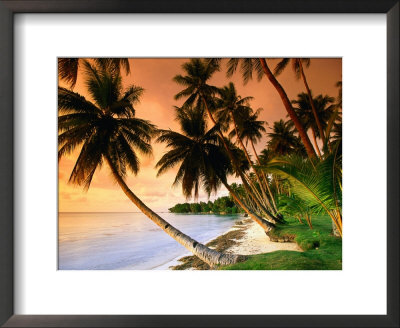 Blue Lagoon Resort Beach, Weno Centre, Micronesia by John Elk Iii Pricing Limited Edition Print image