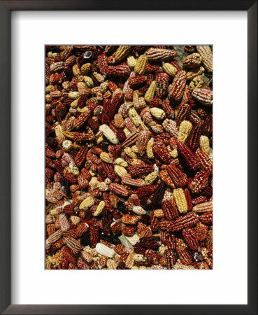 Corn Cobs Drying In Village, Cuzco, Peru by Richard I'anson Pricing Limited Edition Print image
