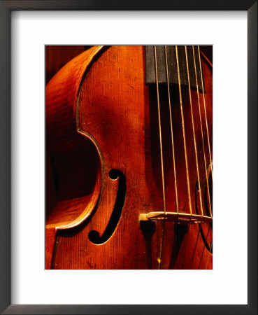 Stringed Instrument In Museum, Brussels, Belgium by Jean-Bernard Carillet Pricing Limited Edition Print image