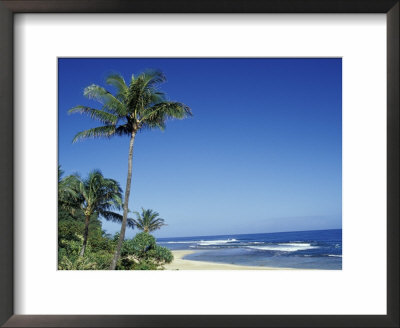 Palm Trees And Sand At Ha'ena Beach, Kauai, Hawaii, Usa by John & Lisa Merrill Pricing Limited Edition Print image