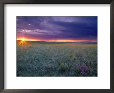 Prairie Sunset Near Culbertson, Montana, Usa by Chuck Haney Pricing Limited Edition Print image