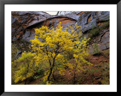 Sandstone In Soft Autumn Rain, Utah, Usa by Jerry Ginsberg Pricing Limited Edition Print image
