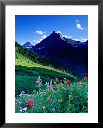 Colourful Wildflowers And Mountain Backdrop Near Logan Pass, Glacier National Park, Montana, Usa by Gareth Mccormack Pricing Limited Edition Print image