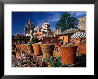 Pots Of Cacti, San Miguel De Allende, Guanajuato, Mexico by John Neubauer Pricing Limited Edition Print image
