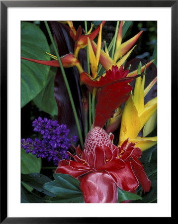 Colorful Tropical Flowers, Hawaii, Usa by John & Lisa Merrill Pricing Limited Edition Print image