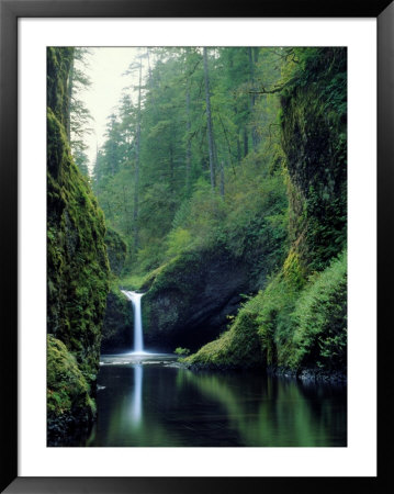Punch Bowl Falls, Eagle Creek, Columbia River Gorge Scenic Area, Oregon, Usa by Janis Miglavs Pricing Limited Edition Print image