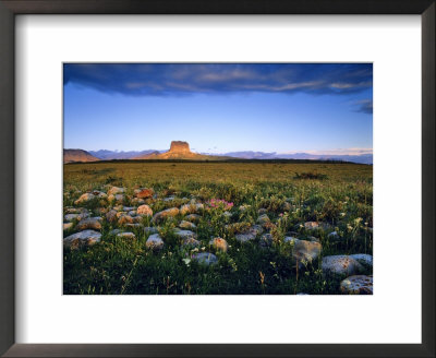 Chief Mountain And Prairie Wildflowers At Glacier National Park, Montana, Usa by Chuck Haney Pricing Limited Edition Print image