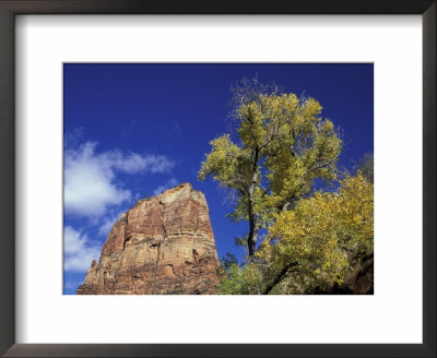 Angels Landing Above The Zion Valley, Zion National Park, Utah, Usa by Jamie & Judy Wild Pricing Limited Edition Print image